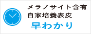 メラノサイト含有自家培養表皮早わかり