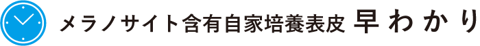 自家培養軟骨移植術 早分かり