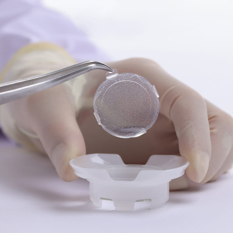 自家培養口腔粘膜上皮